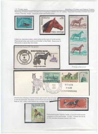 THE KING OF SPORT - EQUESTRIAN SPORT – sheet 33