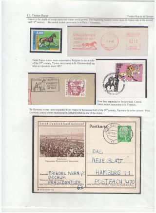 THE KING OF SPORT - EQUESTRIAN SPORT – sheet 34