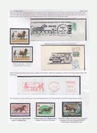 THE KING OF SPORT - EQUESTRIAN SPORT – sheet 37