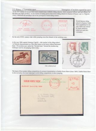 THE KING OF SPORT - EQUESTRIAN SPORT – sheet 43