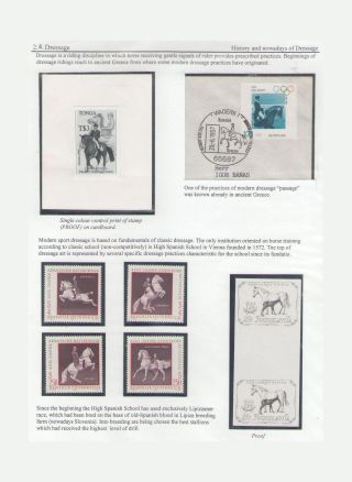 THE KING OF SPORT - EQUESTRIAN SPORT – sheet 57