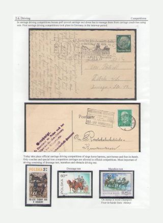 THE KING OF SPORT - EQUESTRIAN SPORT – sheet 65