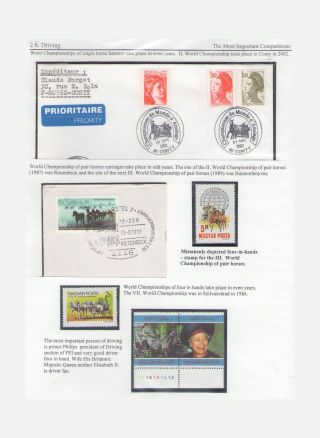 THE KING OF SPORT - EQUESTRIAN SPORT – sheet 66