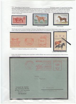 THE KING OF SPORT - EQUESTRIAN SPORT – sheet 74