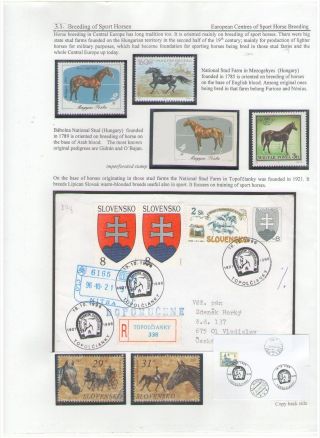 THE KING OF SPORT - EQUESTRIAN SPORT – sheet 75