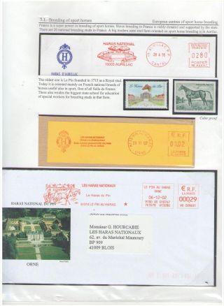 THE KING OF SPORT - EQUESTRIAN SPORT – sheet 76
