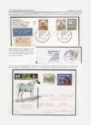 THE KING OF SPORT - EQUESTRIAN SPORT – sheet 79