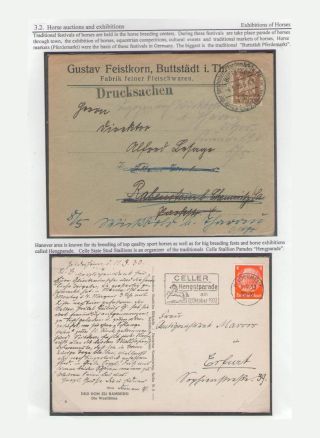 THE KING OF SPORT - EQUESTRIAN SPORT – sheet 80