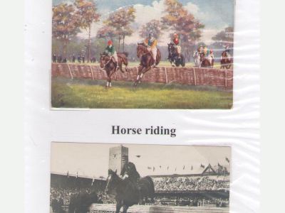 THE KING OF SPORT - EQUESTRIAN SPORT