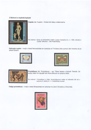 MOTÝLI A MYTOLOGIE – list 2