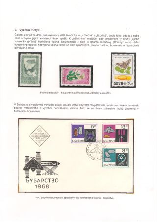 BUTTERFLIES KNOWN AND UNKNOWN – sheet 2