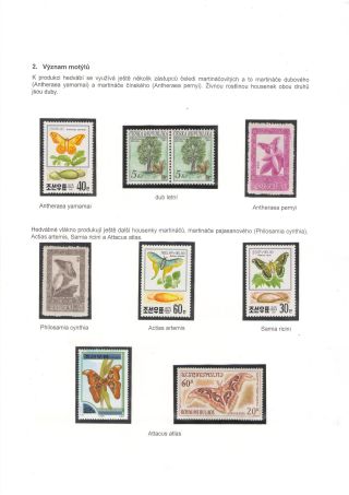BUTTERFLIES KNOWN AND UNKNOWN – sheet 3