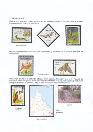 BUTTERFLIES KNOWN AND UNKNOWN – sheet 4