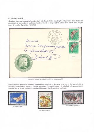 BUTTERFLIES KNOWN AND UNKNOWN – sheet 6