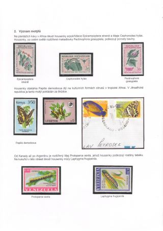 BUTTERFLIES KNOWN AND UNKNOWN – sheet 7