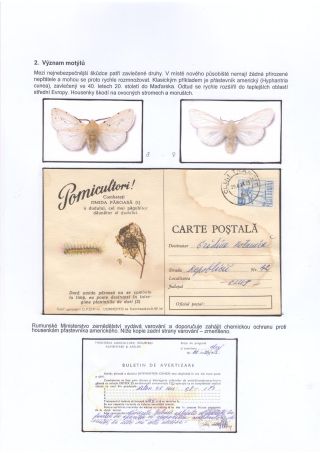 BUTTERFLIES KNOWN AND UNKNOWN – sheet 8
