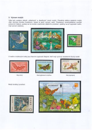 BUTTERFLIES KNOWN AND UNKNOWN – sheet 9