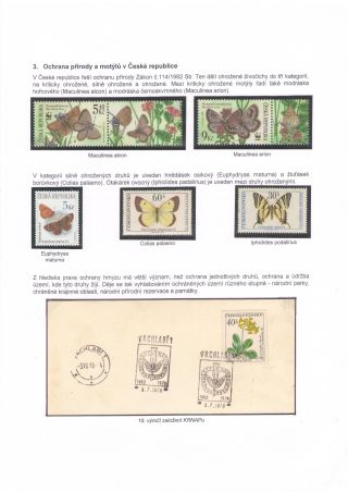 BUTTERFLIES KNOWN AND UNKNOWN – sheet 10