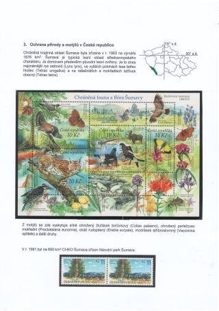 BUTTERFLIES KNOWN AND UNKNOWN – sheet 12