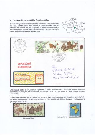 BUTTERFLIES KNOWN AND UNKNOWN – sheet 13
