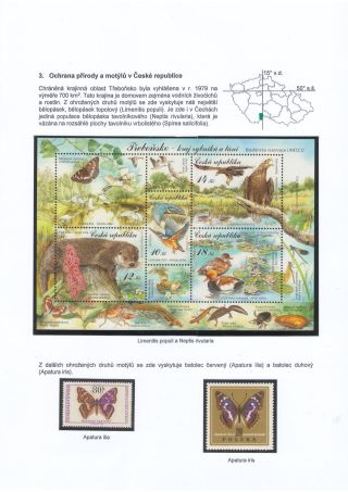 BUTTERFLIES KNOWN AND UNKNOWN – sheet 17