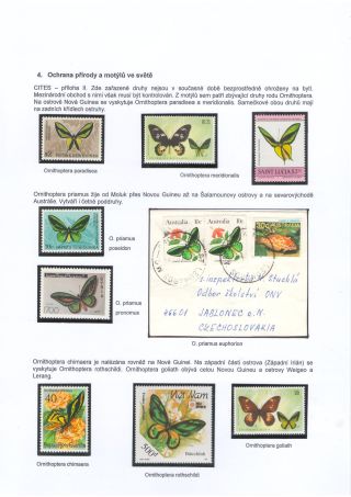 BUTTERFLIES KNOWN AND UNKNOWN – sheet 23