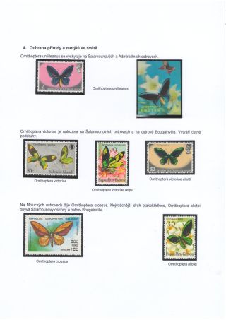 BUTTERFLIES KNOWN AND UNKNOWN – sheet 24