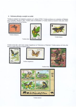 BUTTERFLIES KNOWN AND UNKNOWN – sheet 26