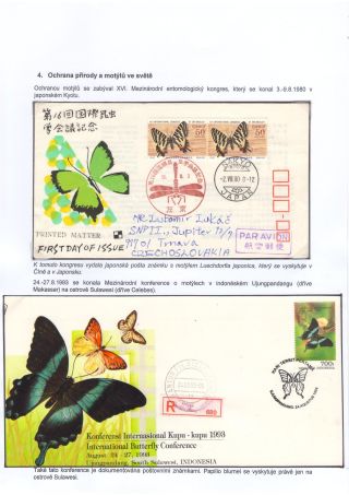 BUTTERFLIES KNOWN AND UNKNOWN – sheet 29