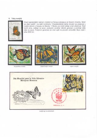 BUTTERFLIES KNOWN AND UNKNOWN – sheet 31
