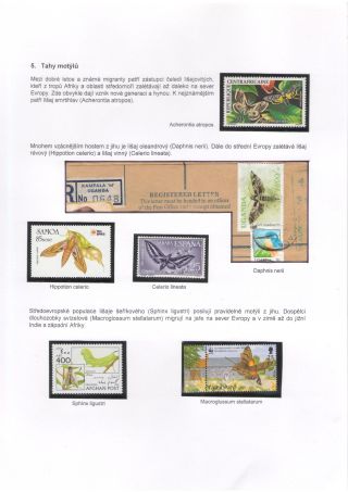 BUTTERFLIES KNOWN AND UNKNOWN – sheet 32