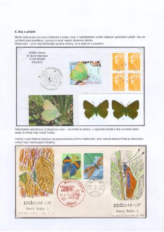 BUTTERFLIES KNOWN AND UNKNOWN – sheet 34
