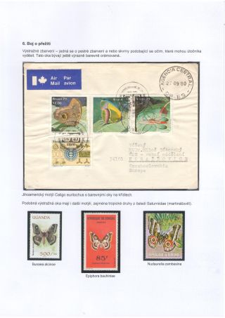 BUTTERFLIES KNOWN AND UNKNOWN – sheet 35