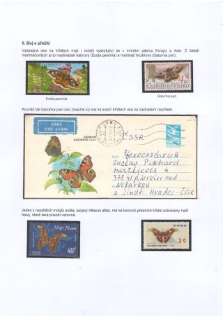 BUTTERFLIES KNOWN AND UNKNOWN – sheet 36