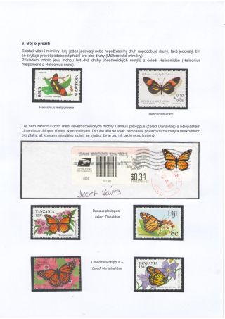 BUTTERFLIES KNOWN AND UNKNOWN – sheet 38