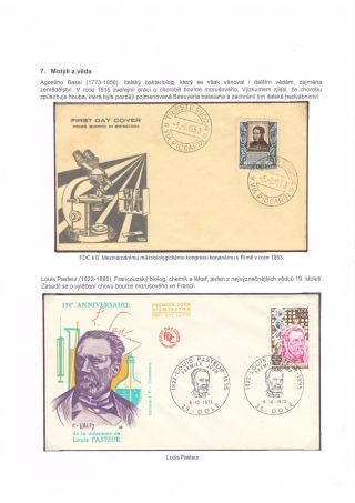 BUTTERFLIES KNOWN AND UNKNOWN – sheet 44