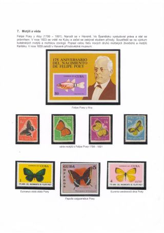 BUTTERFLIES KNOWN AND UNKNOWN – sheet 45