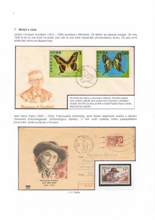 BUTTERFLIES KNOWN AND UNKNOWN – sheet 46