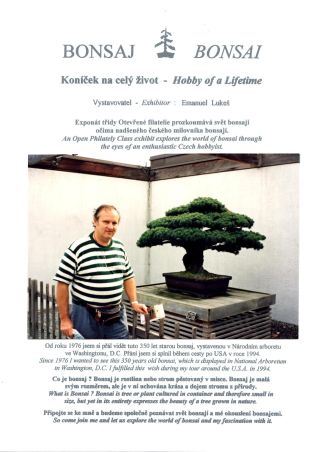 BONSAI – sheet 1