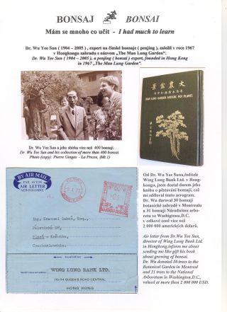 BONSAI – sheet 6