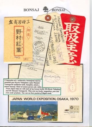 BONSAI – sheet 7