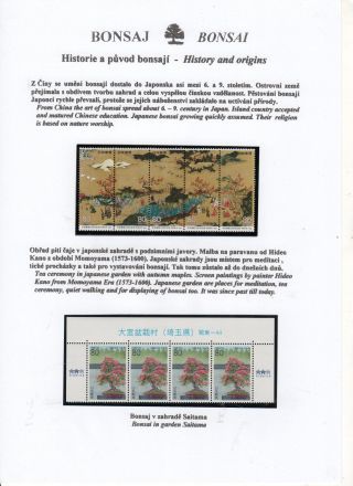 BONSAI – sheet 13