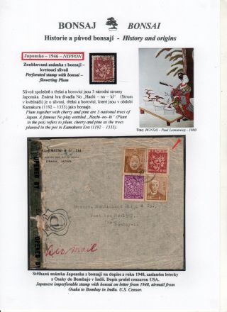 BONSAI – sheet 14