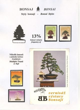 BONSAI – sheet 19