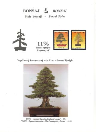 BONSAI – sheet 20
