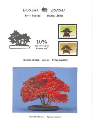 BONSAI – sheet 21