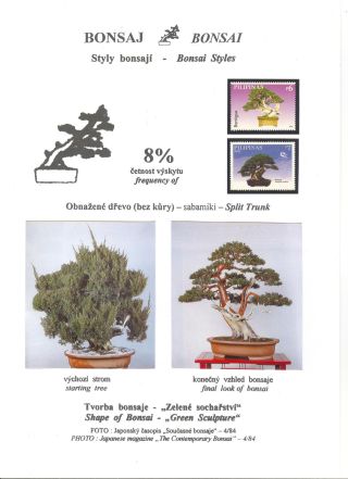 BONSAI – sheet 23