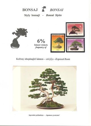 BONSAI – sheet 24