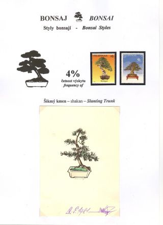 BONSAI – sheet 25