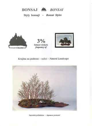 BONSAI – sheet 27